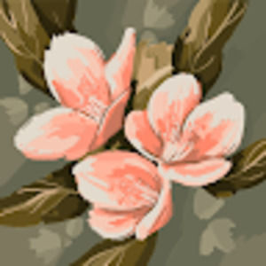 Meet your Posher, Alissa